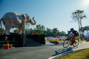 BIB: 
                            <button type="button" onclick="openModal(26182969)" class="btn btn-primary btn-sm float-right btn-popup" data-toggle="modal" data-target=".modal-high-quality">
                        <i class="fas fa-shopping-cart"></i> Add to Cart
                    </button>
                                            <button type="button" onclick="isThisMe(26182969, true)" class="btn btn-success btn-sm float-right btn-popup btn-isme hidden" data-toggle="tooltip" data-placement="bottom" title="นี่คือรูปของคุณใช่ไหม คลิกที่นี่เพื่อเอาเข้าอัลบั้ม">
                        <i class="fas fa-plus"></i> Add to album
                    </button>
                    <button type="button" onclick="isThisMe(26182969, false)" class="btn btn-warning btn-sm float-right btn-popup btn-isnotme hidden">
                        <i class="fas fa-ban"></i> Remove from album
                    </button>